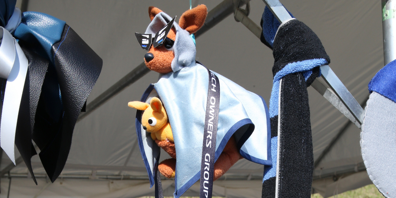 AOG 湘南里帰りミーティング 2025 エルテルぼうず杯争奪 オリジナルテルテルぼうずコンテストの様子